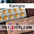 Kamgra 41